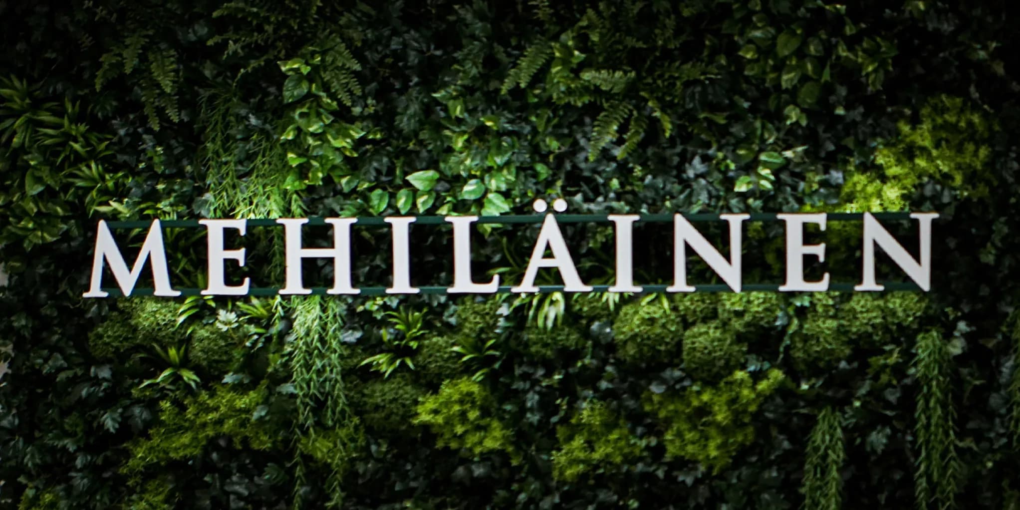 Mehiläinen case study