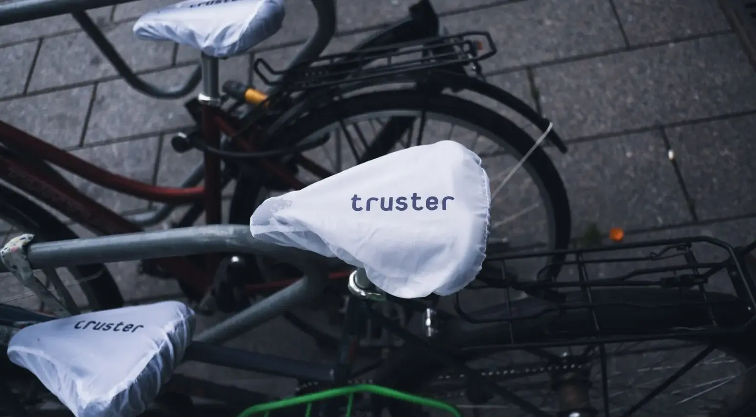 Truster case study